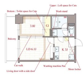 Felis塚本の物件間取画像